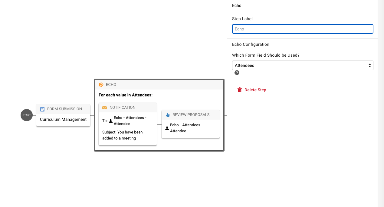 Screenshot showing echo step in workflow