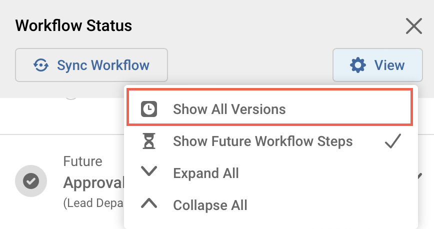 View Options in Workflow Status.jpg