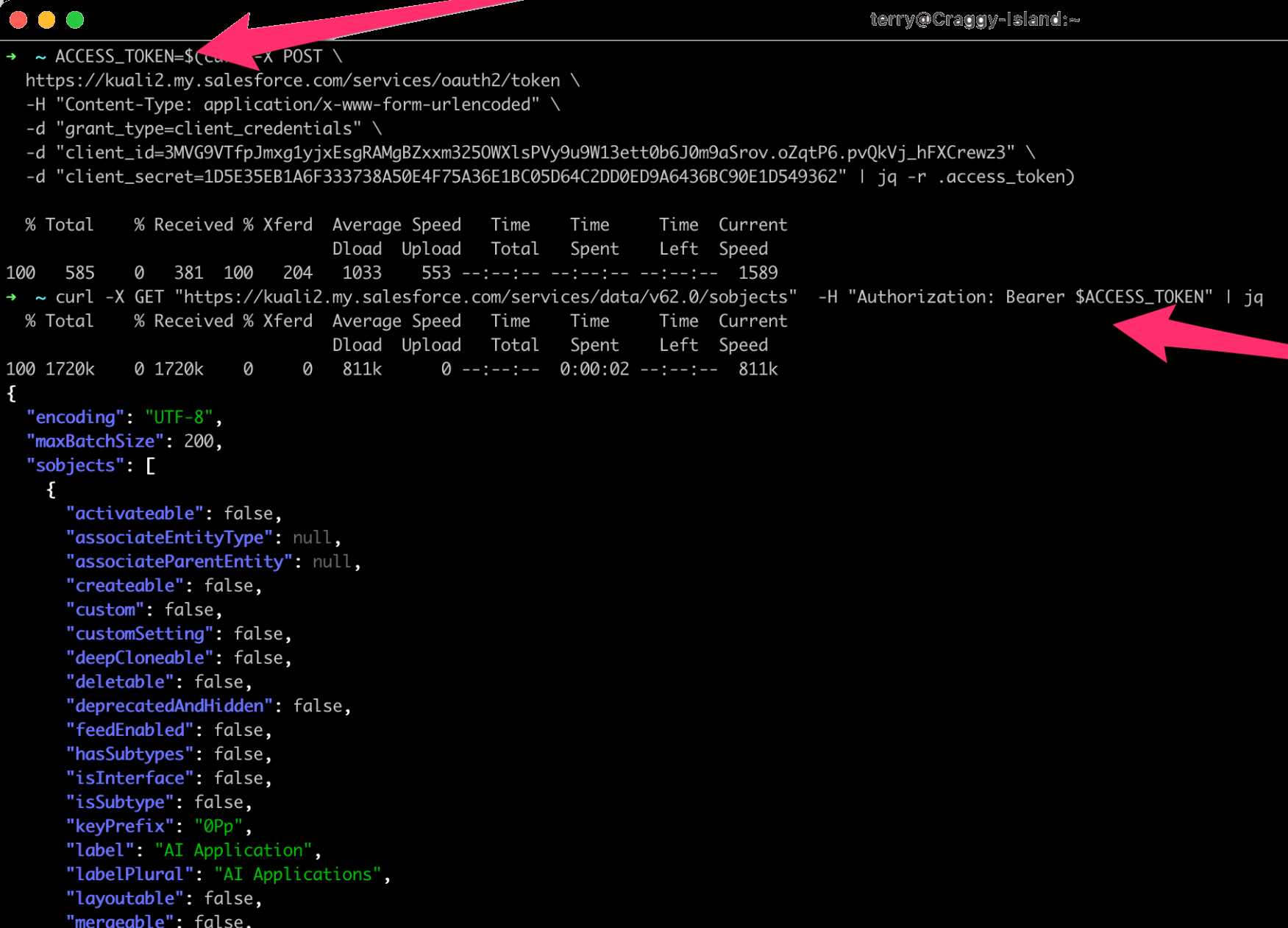 Platform - Integrations - Salesforce access tokens and variables in curl command