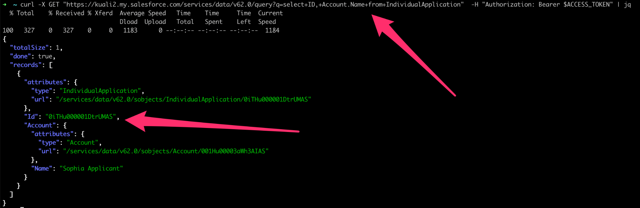 Platform - Integrations - Salesforce SOQL Example 1