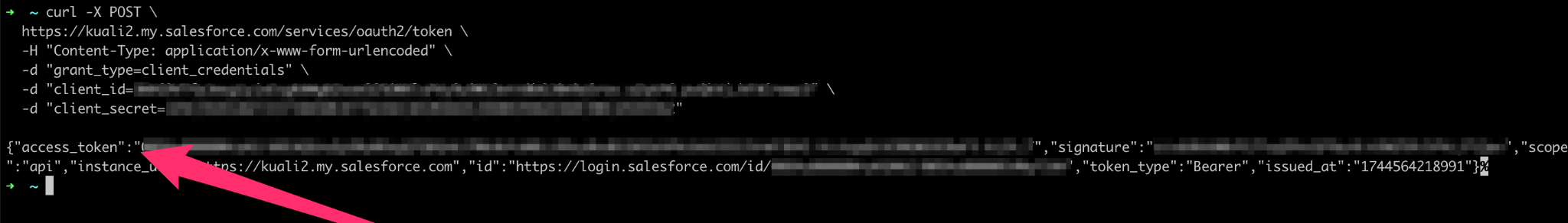 Platform - Integrations - Salesforce access token from integration user